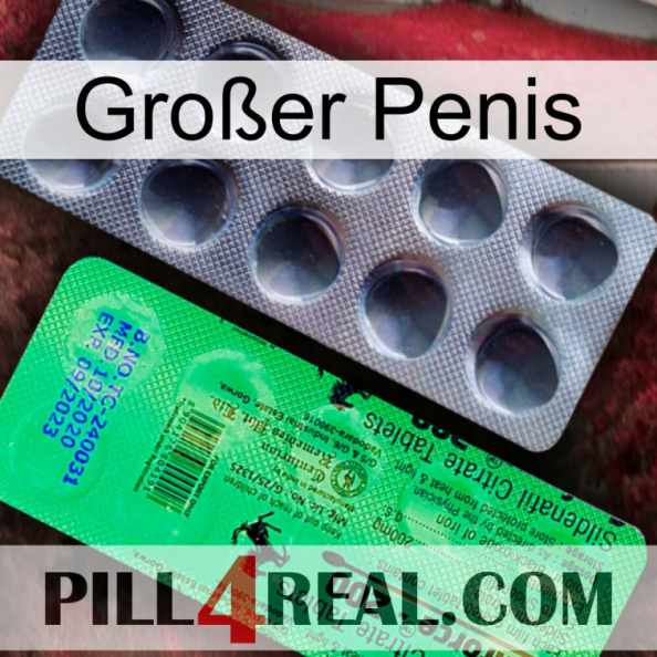 Großer Penis new04.jpg